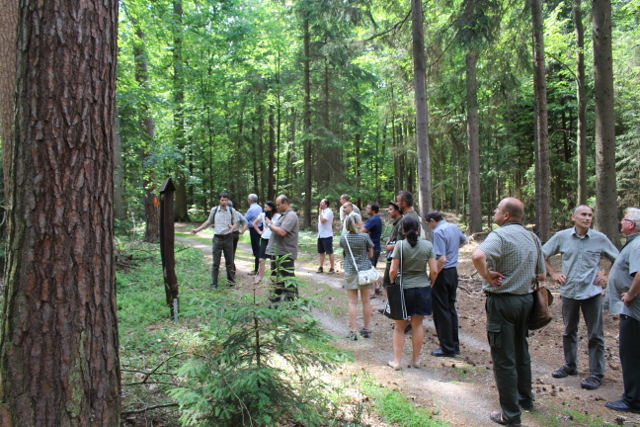 Lesy České republiky a rekreační lesy