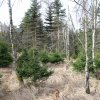 img_0978-9