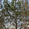 img_1052-32